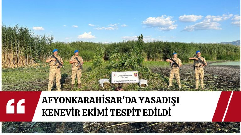 Afyonkarahisar’da jandarmadan narkotik operasyonu: Eber Gölü Havzası’nda yasadışı kenevir ekimi tespit edildi