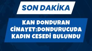 Kan donduran cinayet, dondurucuda kadın cesedi bulundu